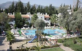 Toloman Bitezpark Apartments
